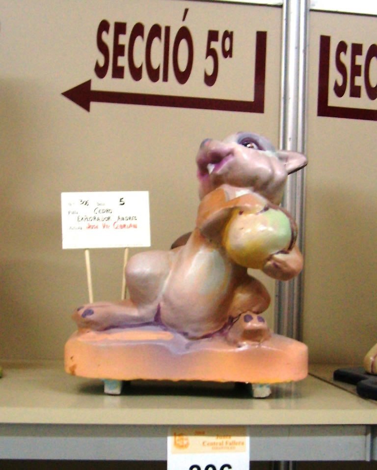 Totfalles: Cedro-Explorador Andrés